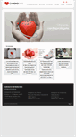 Mobile Screenshot of cardiosafe.es